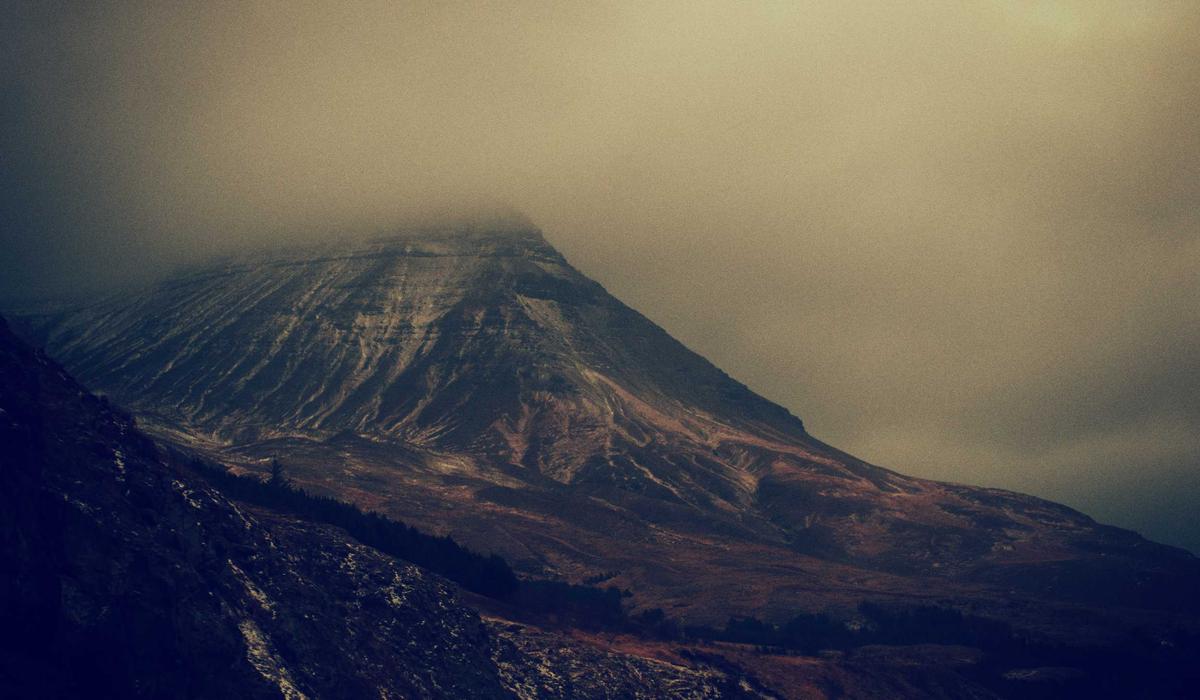 98% Employee Satisfaction Rate