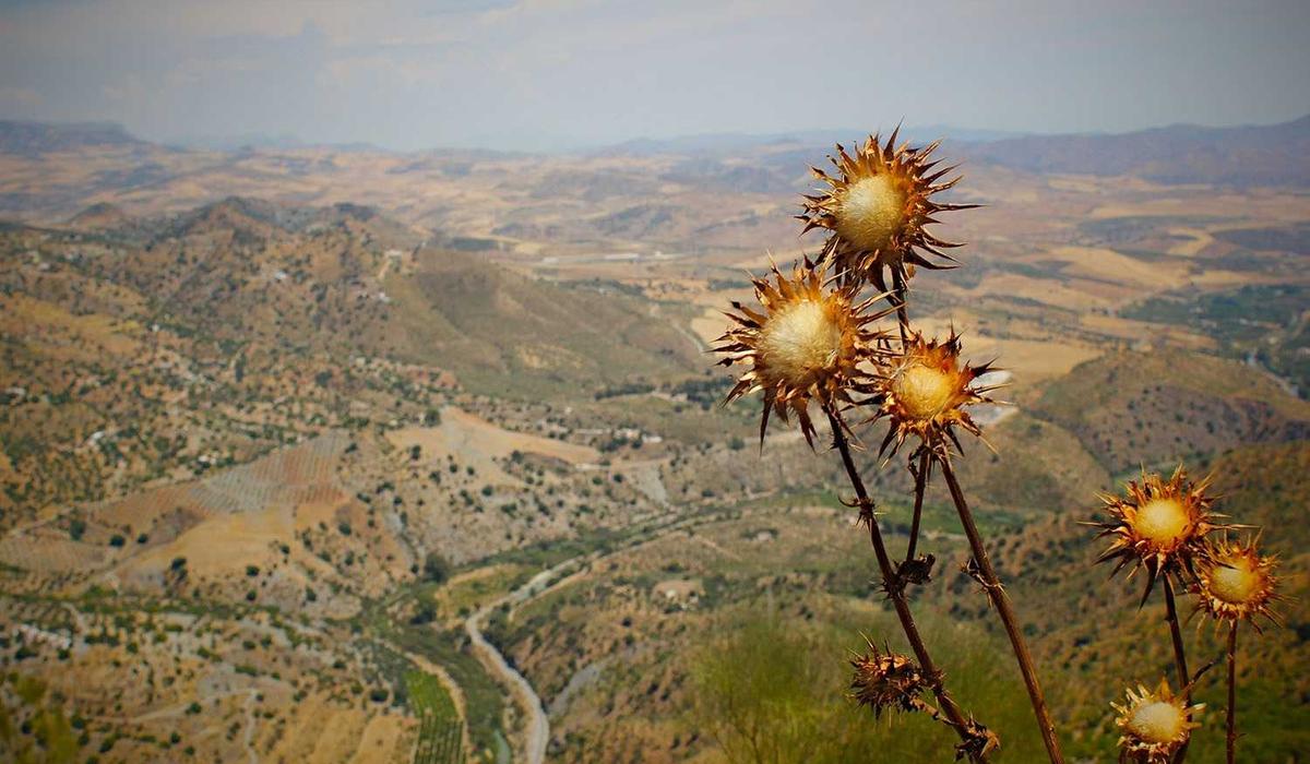 HR Insider: Employee Engagement & Recognition