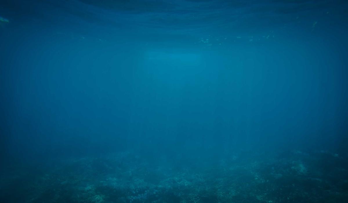 Workplace Wellness Best Practices