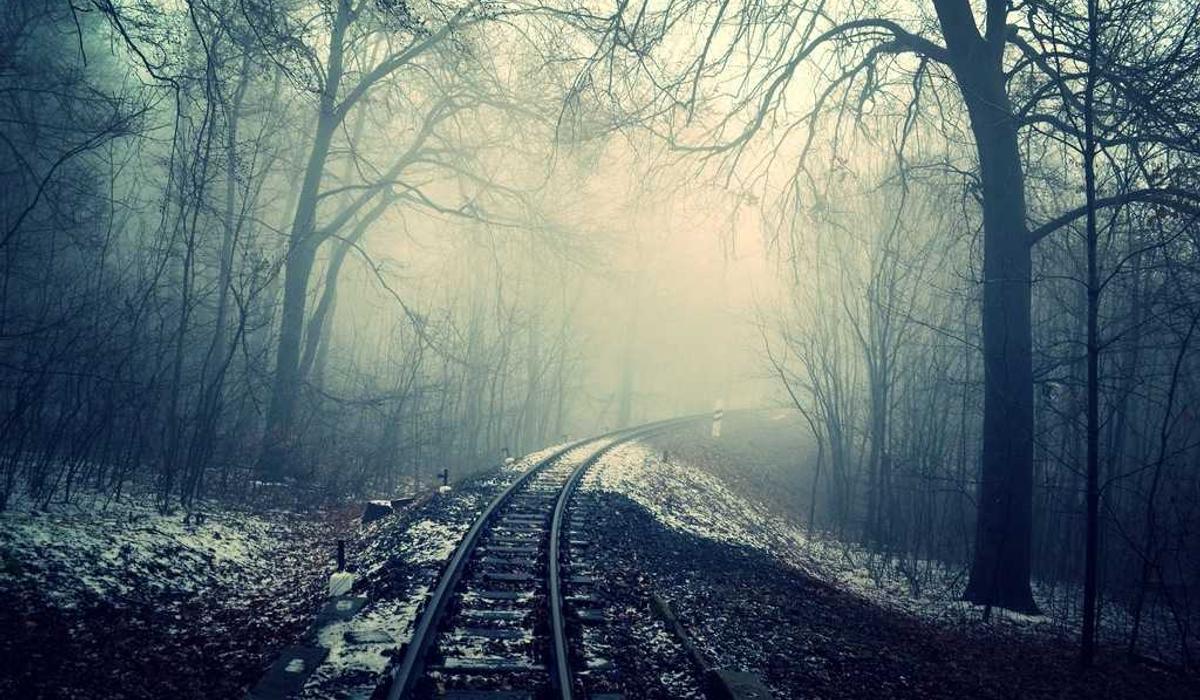 Faculty Scholarship Application Template